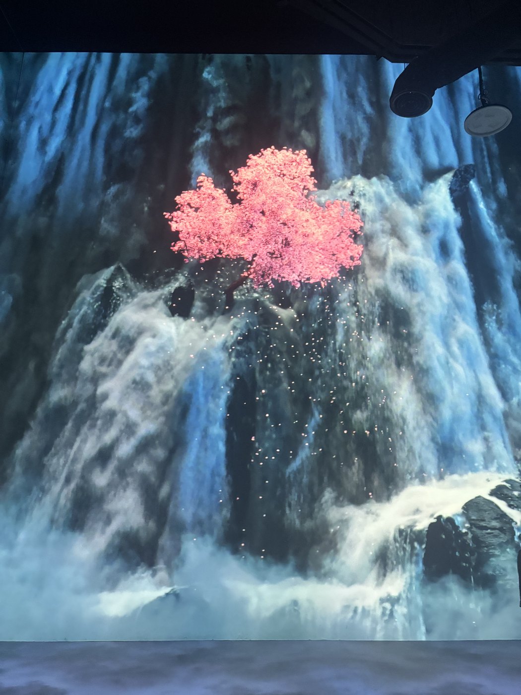 壁一面の滝の映像と、岩の上に立つピンクの花の木