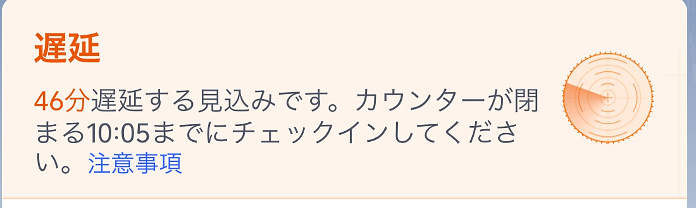 「46分遅延する見込みです。カウンターが閉まる10:05までにチェックインしてください」の表示